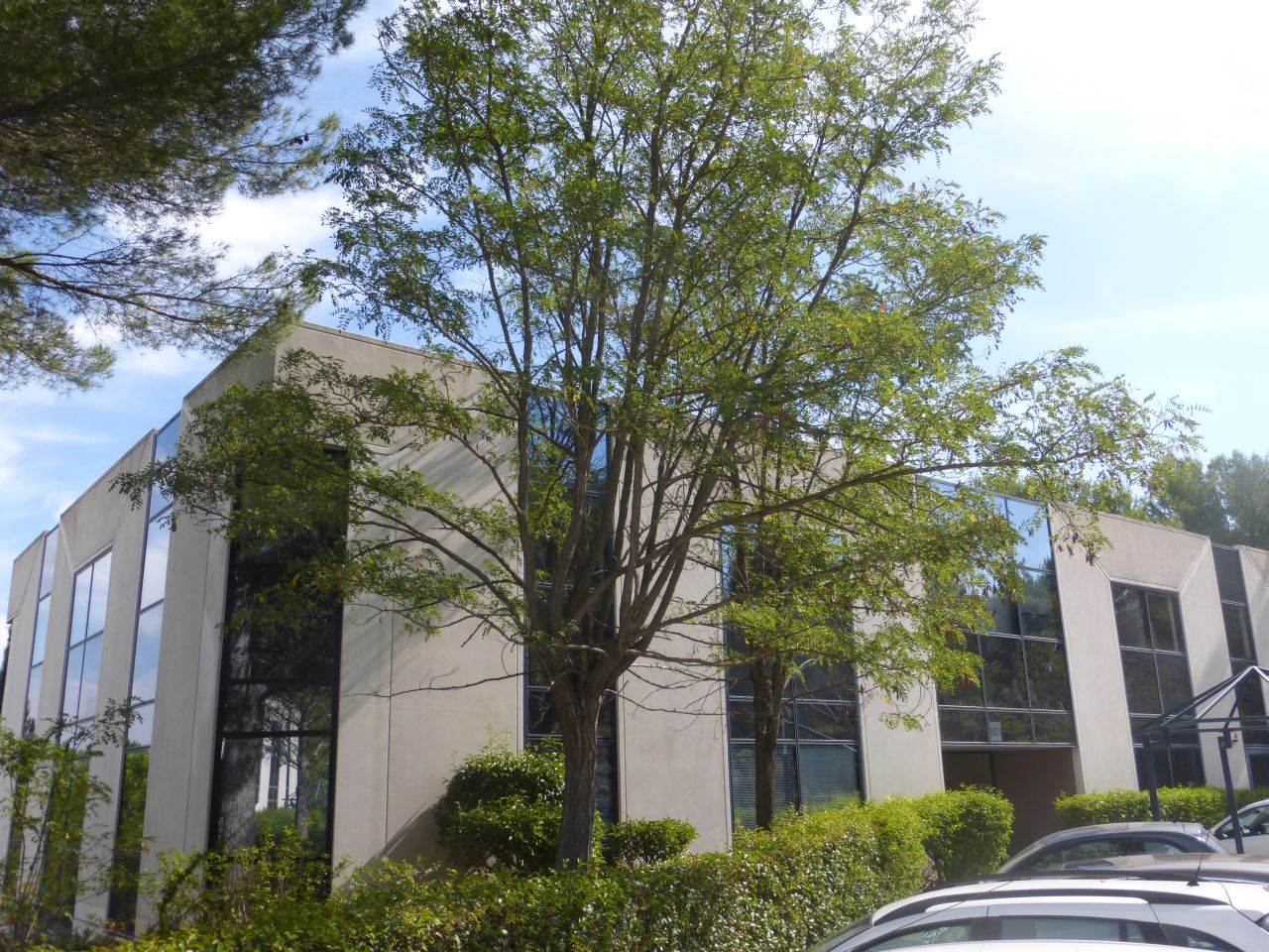 Bureau Aix-en-Provence 380m² Location bureau Aix-en-Provence Bouches-du-Rhône OLBUR2115148 0